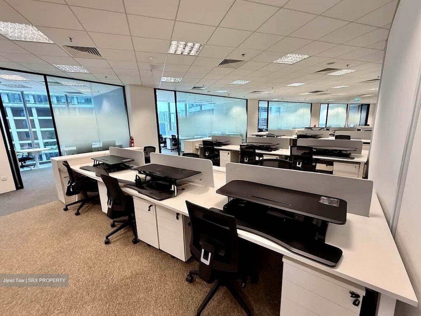 PLUS (D1), Office #538680981